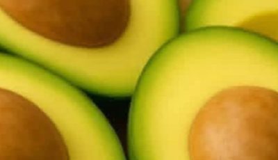 Avocado Seed Benefits: Uses, Properties, and How to Consume It for Better Health