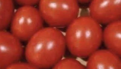 Eye Test!! Count The Tomatoes Is It 12 or 13 ???