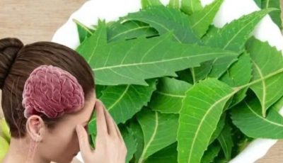 Neem Leaves for Better Health: Benefits, Uses, and How to Consume Them