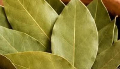 Bay leaves are 100,000 times more powerful than Botox. They eliminate wrinkles, even at age 70