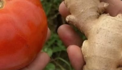 Cholesterol-Free Anti-Inflammatory Drink: A Simple Natural Recipe You’ll Love