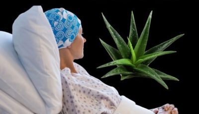 A Natural Path to Healing: Barbara O’Neill’s Holistic Approach to Cancer Support