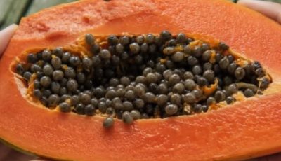 Papaya Seeds for Intestinal Parasites: A Traditional Natural Remedy for