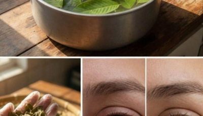 Blurry vision, or irritated or tired eyes? Many people are trying guava leaf tea to