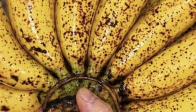 Eating Bananas Before Bed: A Smart Habit or a Hidden Sleep Disruptor?