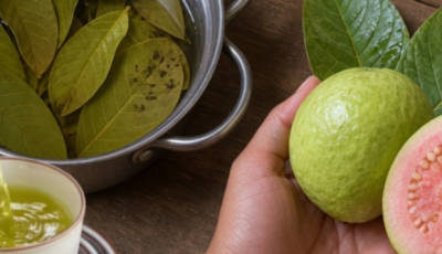 Goodbye High Blood Sugar: Discover the Power of Guava